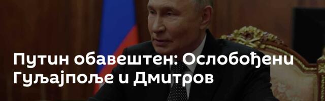 Путин обавештен: Ослобођени Гуљајпоље и Дмитров