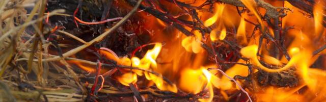 Običaji na treći dan Božića koje treba da poštujete: Tradicija nalaže da žene ovo obave, a evo šta se radi sa božićnom slamom