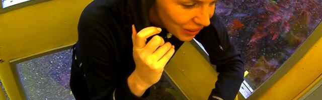 Žestoko ogovaranje u EXATLONU: Sanja se Crvenom timu požalila na svoju ekipu (VIDEO)