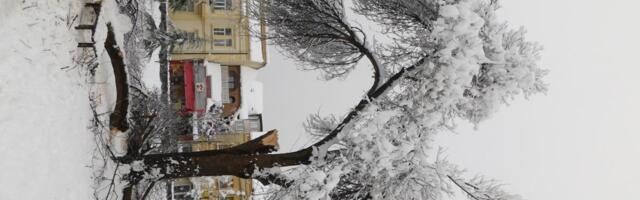 OD SADA MOGUĆA PRIJAVA ŠTETE U GRADSKOJ UPRAVI U Loznici ne gube vreme da pomognu građanima