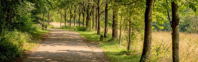 Studenti izašli na obuku u park, pa otkrili nešto potpuno neverovatno: U jami našli raskomadana tela mladića
