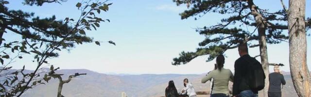 Prizor sa Tare obilazi celu Srbiju: Ovo je pokazatelj da je proleće na samom pragu, zimi je difinitivno kraj (FOTO)