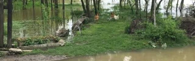 U ovoj opštini Srbije je uvedena vanredna situacija: I putevi i mostovi su zatvoreni