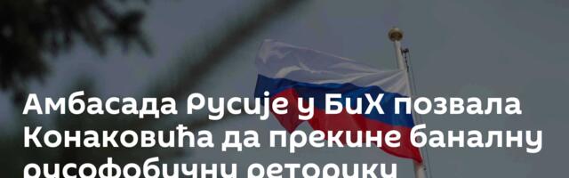 Амбасада Русије у БиХ позвала Конаковића да прекине баналну русофобичну реторику