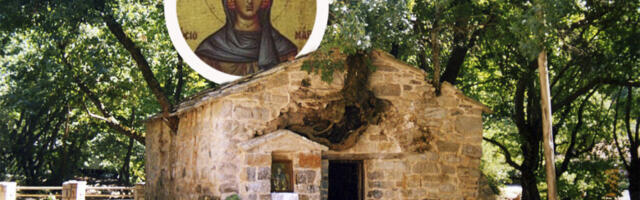 MISTERIJA KOJA PRIVLAČI VERNIKE IZ CELOG SVETA: U Crkvi Svete Teodore, iz koje raste 17 stabala, dešavaju se čuda Božja (VIDEO)