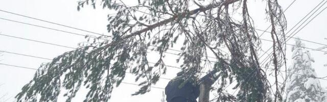 Stanovnici ovog sela u Srbiji od sinoć su bez struje: Sneg okovao Srbiju, meštani uplašeni