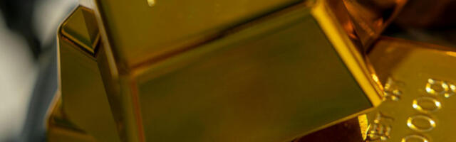 На ливади пронађено 10 златних полуга вредних око 37.000 евра