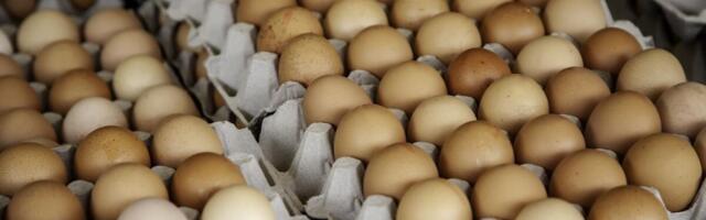Koliko koštaju jaja uoči Uskrsa? Od kokošijih i guščijih, pa sve do jaja od sitne živine