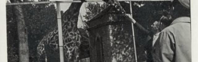 Priča koja traje 90 godina: Kako je nastao Beogradski zoo vrt