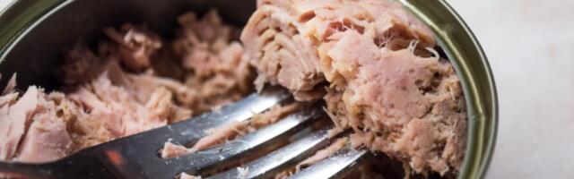 Da li je opasno jesti tunjevinu svaki dan?