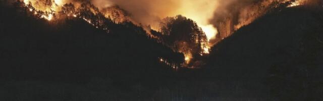 POŽARI U JAPANU UGAŠENI POSLE SKORO TRI NEDELjE: Izgorelo oko 565 hektara šuma, policija istražuje uzrok