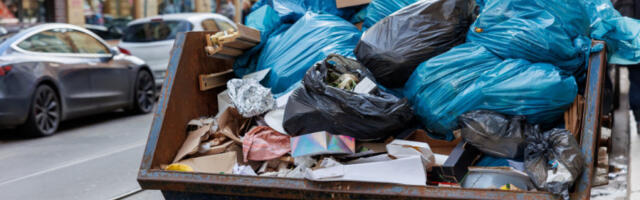 PANIKA U ŠAPCU! STRAH OD ŠIRENJA ZARAZE! Mrtvi prasići bačeni u kontejner: "OVO JE ZA ZATVOR" (FOTO)