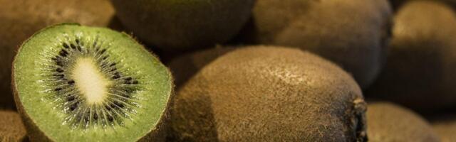 Ministarstvo poljoprivrede demantuje: Nije Severna Makedonija sa granice vratila naš kivi, nego mi njihov