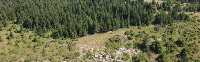 Јeziv prizor sa srpske planine: Zveri snimljene kako slobodno lutaju planinom, snimak ledi krv u žilama