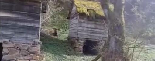 U selu nadomak Kuršumlije rađaju se riđa deca: Za sve je zaslužan kralj Milutin, a mesto krije i legendu o blagu