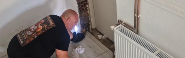 PORODICA U VRANJU PREMRLA OD STRAHA! Otrovnica se uvukla U ZID KUĆE: "Kako je ušla, ne ostavljam vrata otvorena?!" Pozvali Vladicu, on izvadio NAJOPASNIJU ZMIJU
