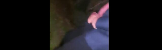 "Ne znam gde sam": Naprednjak urinirana ulici (VIDEO)