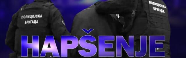 PALI LJUDI VELJE NEVOLJE! Prodavali KOAKIN i MARIHUANU na beogradskim splavovima, žestoka AKCIJA policije na KARABURMI