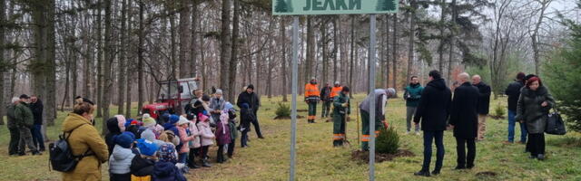 Park novogodišnjih jelki bogatiji za 15 četinara (FOTO)