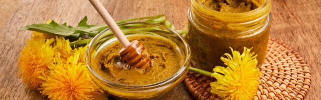 Proleće donosi maslačak na trpezu