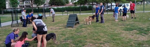 Akcija „Kreni nahrani“ u subotu na 53 lokacije u Srbiji: Građani prikupljaju hranu za napuštene pse i mačke