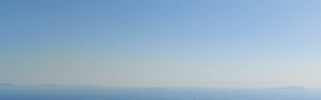 Na Galapagosu otkriven beli pingvin (FOTO)