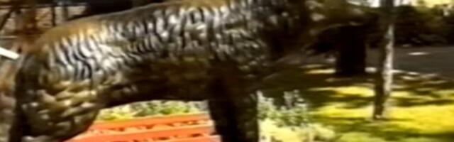 ONA JE HEROJ BEOGRADA, A NJEN SPOMENIK I DANAS STOJI U ZOO VRTU! Neverovatna i istinita priča o keruši Gabi