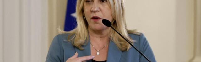 ŽELJKA CVIJANOVIĆ: Zijad Krnjić fizički zaustavio put ka Evropskoj uniji