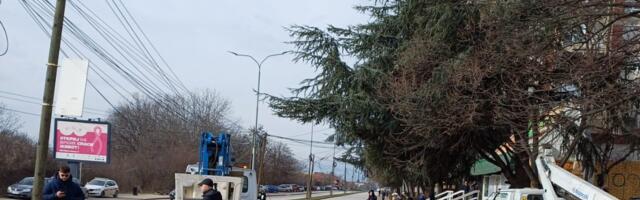 „Jotel“ ne dozvoljava seču kablova, blokiran deo Somborskog bulevara