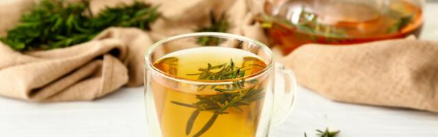 Ruzmarin kao tajno oružje protiv opadanja kose: Recept i saveti za jaču i gušću kosu kod kuće