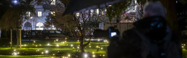 Da li smo mi poslednja generacija koja ih vidi?! Nekad su ih bila puna dvorišta, a sad na ivici da izumru!