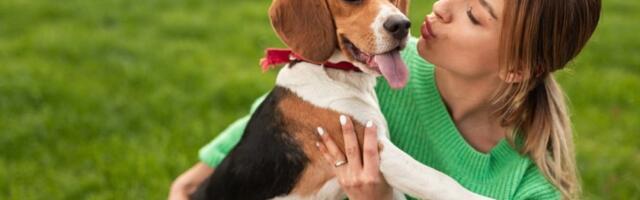 3 najpovoljnije rase pasa: Osvajaju srca, a ne uništavaju budžet vlasnika