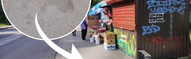 "ZA SKORO 70 GODINA KOLIKO IMAM NIKADA NISAM PRISUSTVOVALA UBISTVU!" Žene koje su svedočile hororu na Kanarevom brdu otkrile STRAVIČNE DETALJE!