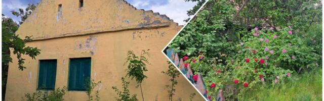 Kuća sa 16 ari placa za samo 7.000€! Smeštena u oazi zelenila i ruža blizu Zrenjanina, ima struju i vodu, a u selu ima sve! (FOTO)