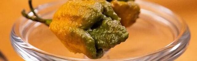 Tvorac najljuće papričice na svetu opisuje pakao koji je prošao zbog svog proizvoda