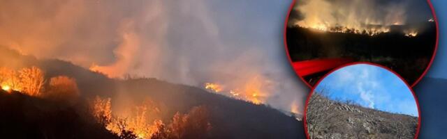 Ogroman šumski požar kod Beočina! Vatra "guta" sve pred sobom (FOTO)
