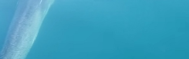 Kit dug 15 metara kruži Jadranom, vreba velika opasnost (VIDEO)