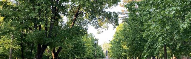 Kuda ide ovaj svet: U poslednjih 200 godina veza ljudi sa prirodom opala za 60 odsto