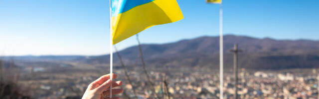 Укидањем пореских олакшица до новог кредитног пакета ММФ-а