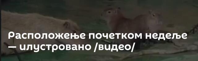 Расположење почетком недеље — илустровано /видео/