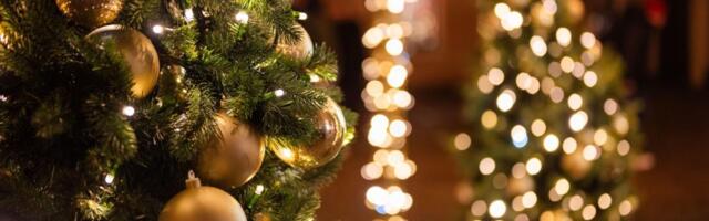 Da li je dobro ostaviti lampice na jelci cele noći? Stručnjaci objašnjavaju koliki je rizik I kako da uštedite struju