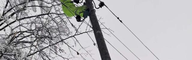 Bez struje 964 domaćinstava: Gradski štab za vanredne situacije Loznice