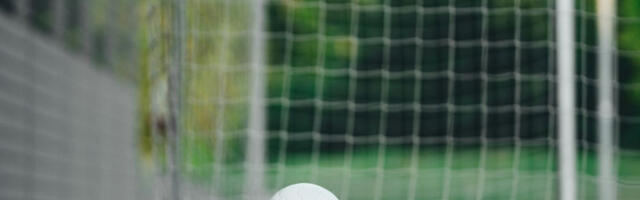 Суперлига се наставља: Звезда у Панчеву брани врх, Партизан чека Спартак у Хумској