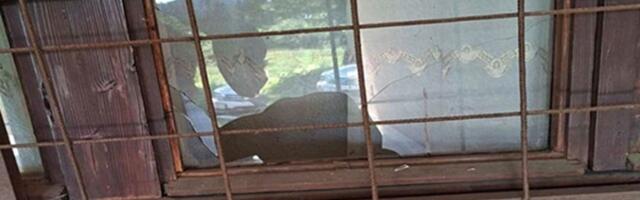 "Još jedan napad na srpske institucije": Razbijen prozor na ambulanti u selu Staro Gracko