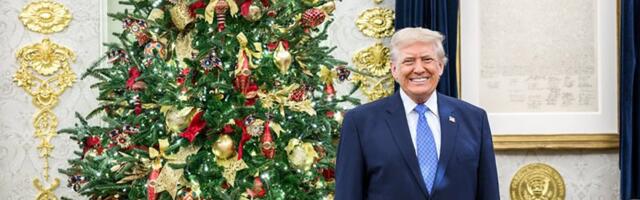Bela kuća objavila zvaničan Trampov portret za Božić: Jedan detalj je svima privukao pažnju