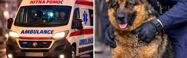 HOROR U SOPOTU: Pas napao devojčicu (5), uhapšen vlasnik