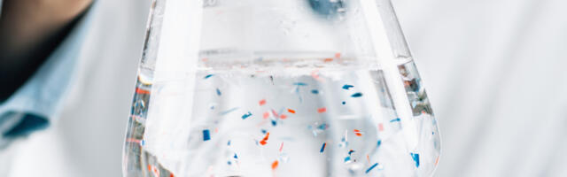 PLASTIKA IZ HRANE I VODE ZAVRŠI U MOZGU Naučnica otkrila na koji način unosimo štetne materije u organizam