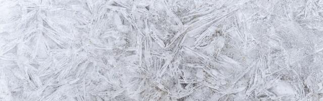 Zimska idila iz Novog Sada, a zapravo prikriveni HOROR: Na snimku odrasli ljudi, ali i roditelji sa DECOM