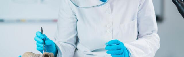 Misterija porodičnih odnosa kamenog doba: Analiza DNK dovela do neverovatnog otkrića na nalazištu Ajvide