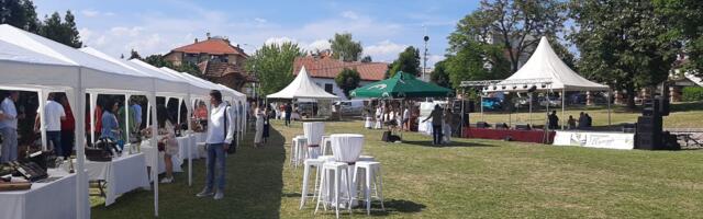 Održan deseti Festival Šumadijskih vina u Topoli, izloženo oko 150 vina